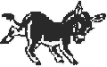 Miniature Donkey Web Ring