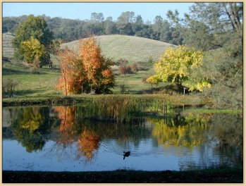 Autumn Pond