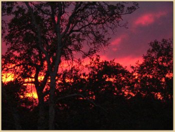 Sunset at Mossy Oak
