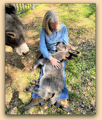 Mossy Oaks Genevieve