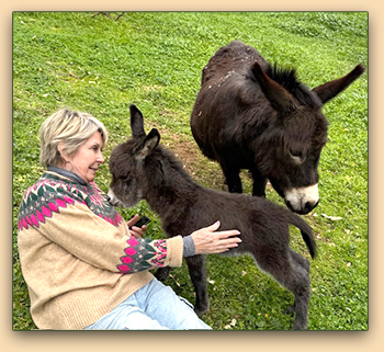 Mossy Oaks Tat or Tot